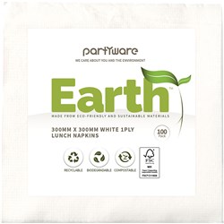 WRITER BREAKROOM EARTH ECO LUNCH NAPKIN 1 PLY 300 X 300MM WHITE 100 SHEETS