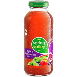 SPRING VALLEY APPLE BLACKCURRANT JUICE 300ML GLASS BOTTLE PACK OF 24