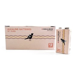 BIBBULMUN EVERYDAY BATTERY SIZE 9V PACK OF 12