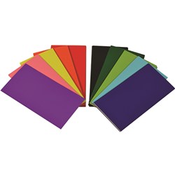 RAINBOW FLASH CARD 203 X 102MM 300GSM ASSORTED 100 SHEETS