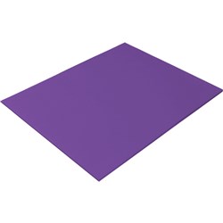 Rainbow Spectrum Board 510MMX640MM 220 gsm Purple 20 Sheets