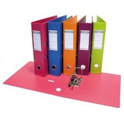 BANTEX LEVER ARCH BINDER A4 FRUITS 70MM ASSORTED BOX OF 10