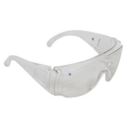 ZIONS VISITORS SAFETY GLASSES CLEAR LENS